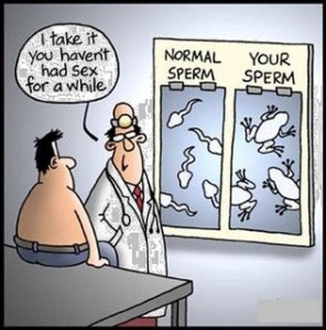 sperm-cartoon