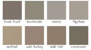 shades of taupe