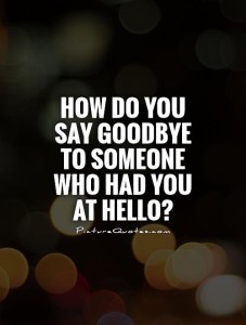 how-do-you-say-goodbye-to-someone-who-had-you-at-hello-quote-1