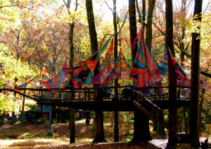 The tree house in Fall